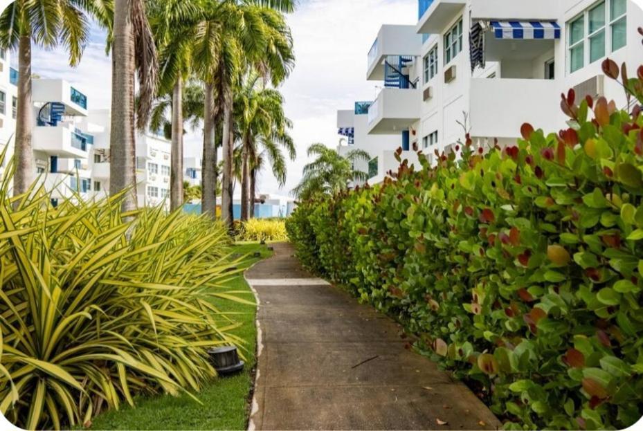 Appartamento Breezy Nights Puerto Rico Loiza Esterno foto